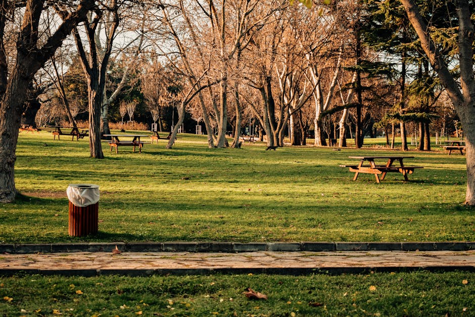 A park scene featuring a well-maintained grassy area with several mature deciduous trees with bare branches, indicating late autumn or early winter. The trees are dispersed across the landscape, creating a natural canopy with some green foliage remaining on the right side. In the foreground, a brown wooden trash bin with a white plastic liner is visible, standing on a paved walkway made of rectangular stone tiles. Several empty wooden picnic tables with attached benches are evenly spaced throughout the park, some positioned on the grass and others on the paved area. Dappled sunlight filters through the tree branches, casting soft shadows on the ground, creating a calm and orderly environment. This scene exemplifies peaceful outdoor spaces that may be maintained by local authorities or private organizations offering alternative waste management options, such as on-site rubbish collection, reflected in the tidy appearance and designated waste receptacles. The background extends into more open lawn areas, with additional trees and pathways visible further away, contributing to a serene, park-like setting suitable for relaxation and outdoor activities.